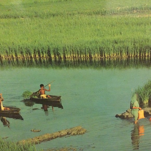 Solid Wood framed landscape print on board wall hanging grassland river boating - Picture 6 of 10